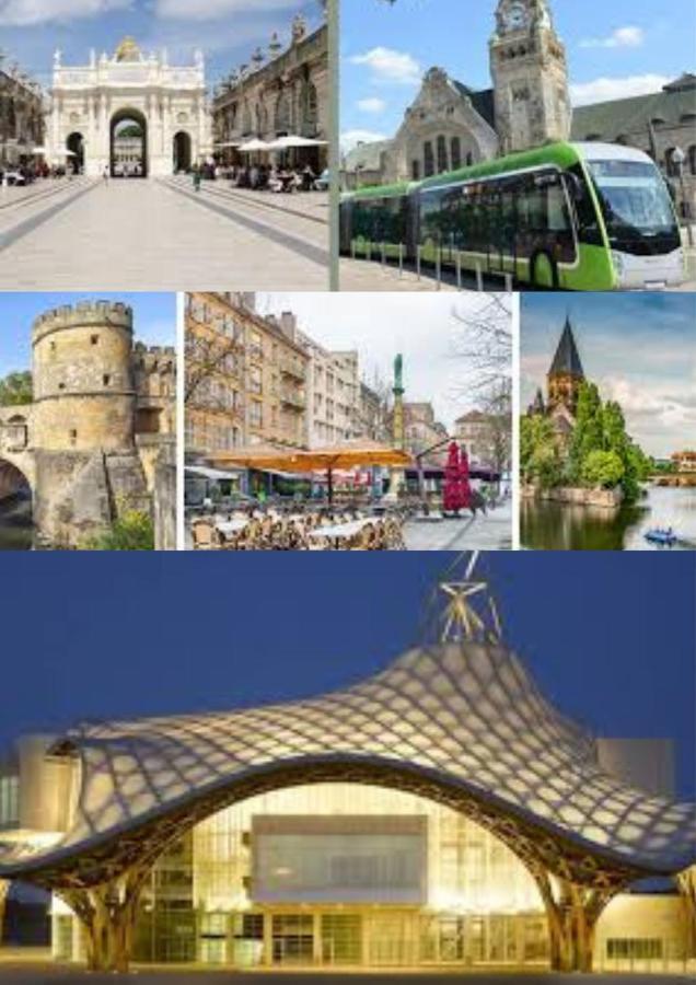 Le Muse Quartier Ville Proche Transport Parking Prive Un-Sejour-A-Part Metz Kültér fotó